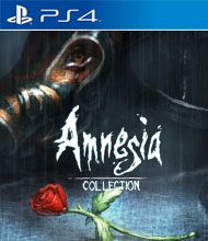 Amnesia Collection Cover