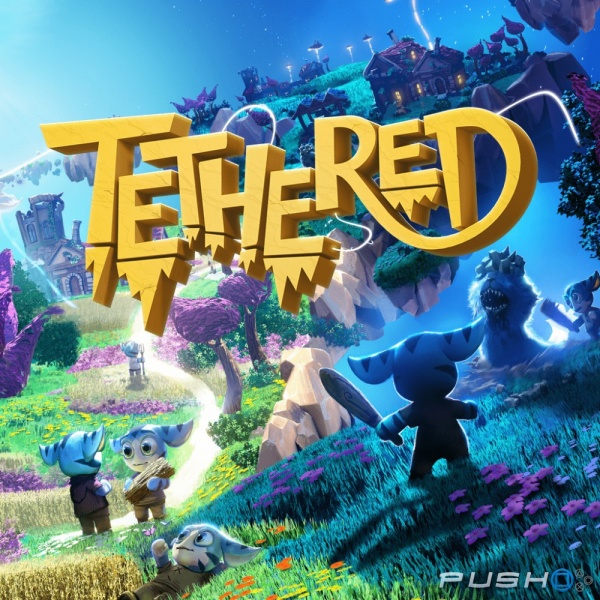 Tethered Cover