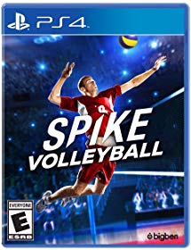 Spike Volleybal Cover