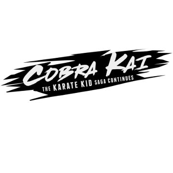 Cobra Kai Cover