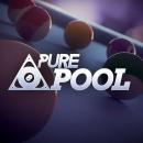 De review van vandaag: Pure Pool