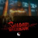 De review van vandaag: Shadow Warrior