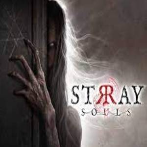 Stray Souls nu beschikbaar!